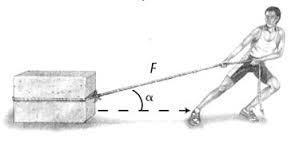 Image for question 7