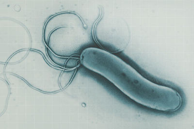 Image for question 3