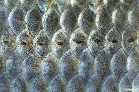 Image for question 34