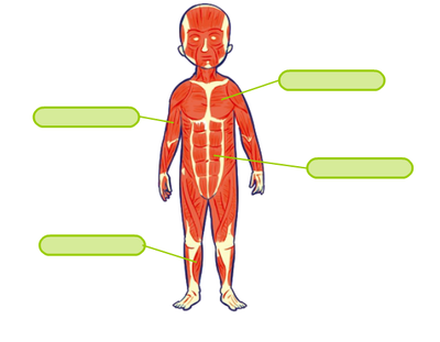 Image for question 5