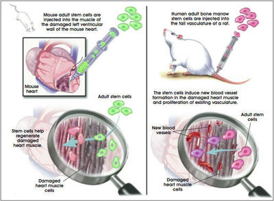 Image for question 5