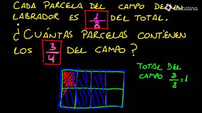 Imagen de la pregunta 7