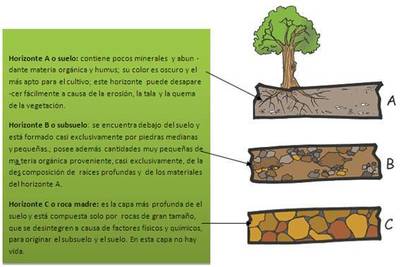 Image for question 3