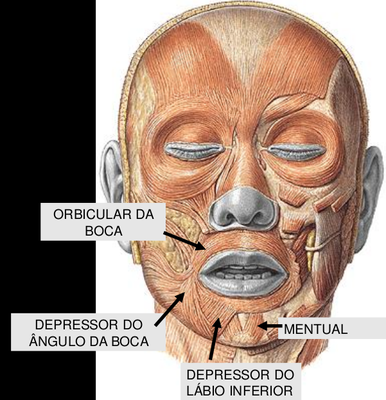Imagem da pergunta 11