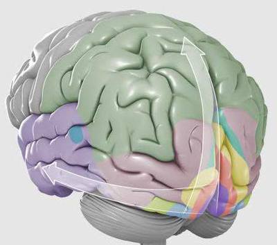 Image for question 9