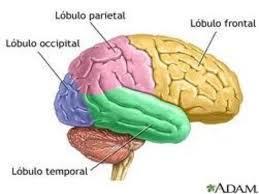 Image for question 10