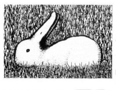 Image for question 1