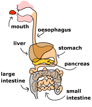 Image for question 1