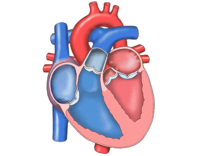 Image for question 3