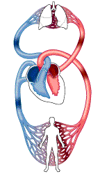 Image for question 4