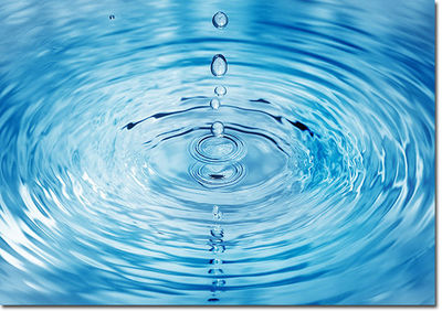 Image for question 8