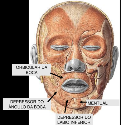 Imagem da pergunta 10