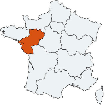 Image for question 5