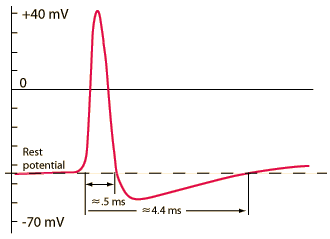 Image for question 7