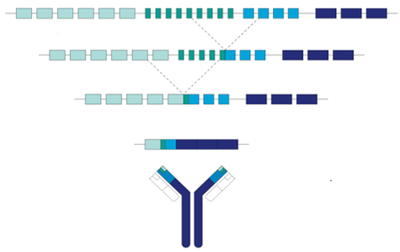 Image for question 9