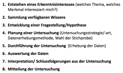 Schritte im Forschungsprozess 8 Schritte