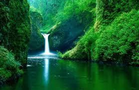 Beneficio ambiental