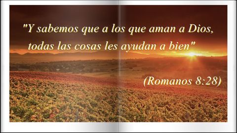 Proceder y actuar bien, hace progresar nuestra empresa, familia, país, sociedad. Somos mejores y aportamos mas.