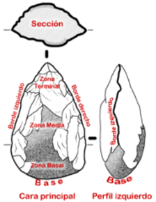 El bifaz es una piedra tallada por dos (bi) caras (faz). Se obtiene tras golpear una piedra haciendo saltar lascas de sus bordes hasta ob...