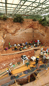 Atapuerca es el yacimiento europeo más importante ya que, además de aportar una nueva especie, el Homo Antecessor, permite seguir la evol...