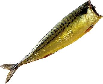 skumbrija