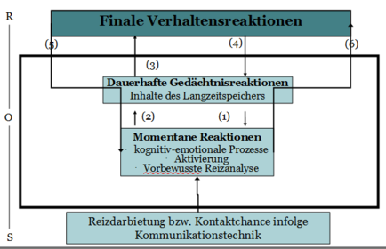 Werbewirkungsmodell (nach Steffenhagen, 1984)