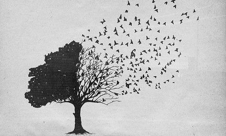 AIRE (Pneuma)