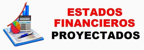 Son aquellos que han pasado por un proceso de revisión y verificación de la información; este examen es ejecutado por contadores públicos...