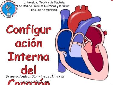 Venas de Thebesius: se denominan así a pequeñas vénulas que proceden de la pared del corazón. Se encuentran particularmente en las parede...