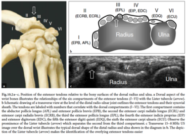 Continued