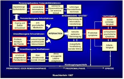 Vulnerabilitäts-Stress-Bewältigungsmodell der Schizophrenie