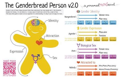 Die verschiedenen Dimensionen von Gender/Sex/Sexuality