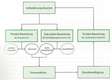 2C Entwicklungspsychologie - Kapitel 1 bis 2.1 inkl.