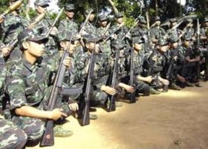 Militant - given to fighting; active and aggressive in support of a cause; an activist
