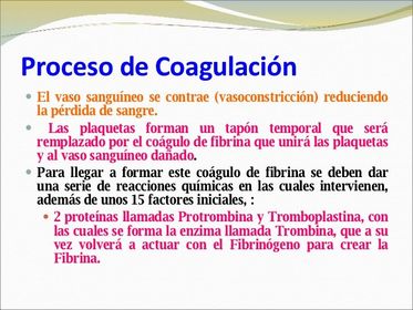 • Describa brevemente las reacciones sucesivas del mecanismo de la coagulación. Por qué no se coagula la sangre dentro de los vasos?
