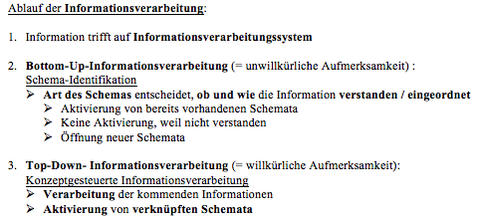 Verarbeitung von Medieninhalten Informationsverarbeitung: Schemata im Informationsverarbeitungsprozess