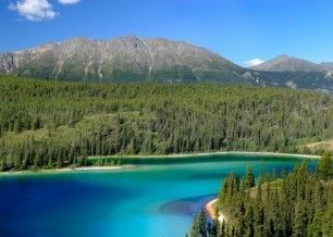 LOS BOSQUES Y LA TALA INMODERADA. Los bosques son ecosistemas imprescindibles para la vida. Son el habitat de multitud de seres vivos, re...