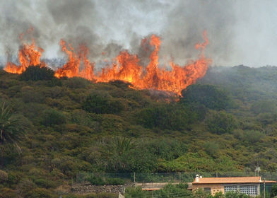 INCENDIOS FORESTALES ¿Qué son los incendios forestales? Fenómeno que se presenta cuando uno o varios materiales combustibles en bosques, ...