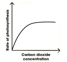Đồ thị biểu diễn sự phụ thuộc của cường độ QH vào nồng độ CO2