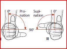 Pronation &amp; Supination