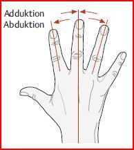 Adduktion &amp; Abduktion