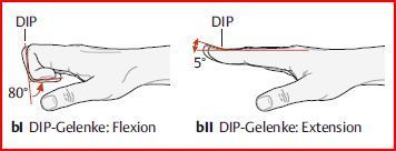 Bewegung in DIP