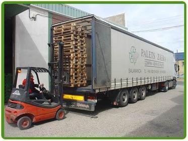 TRANSPORTE