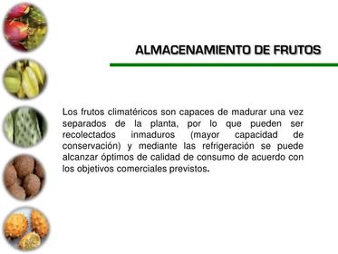 TRANSPORTE Y ALMACENAMIENTO