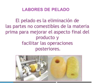 Labores de pelado, despulpado, troceado,uso de atmósferas modificadas y controladas
