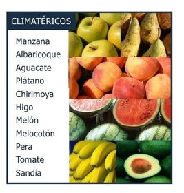 EJEMPLO DE FRUTOS CLIMATÉRICOS.