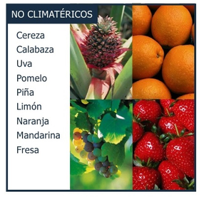 EJEMPLO DE FRUTOS NO CLIMATÉRICOS.
