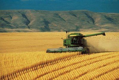 SISTEMA EXTENSIVO Sistema de producción agrícola que no maximiza la productividad a corto plazo del suelo con la utilización de productos...