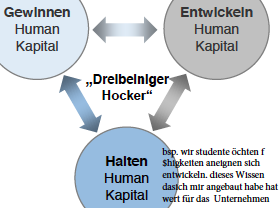 Human Kapital kann man in drei unterteile unterteile welche?