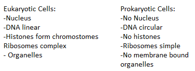 What is the difference between Prokaryotic Cells and Eukaryotic Cells?